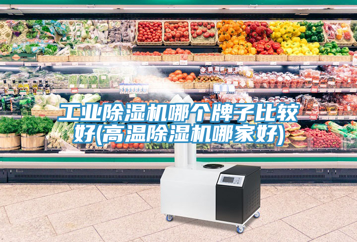 工业猫咪成人官网哪个牌子比较好(高温猫咪成人官网哪家好)