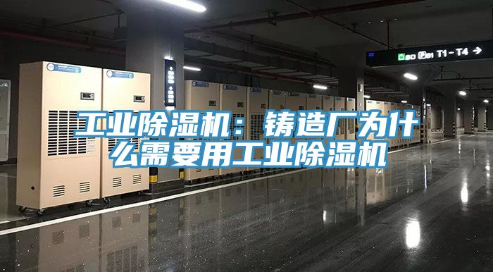 工业猫咪成人官网：铸造厂为什么需要用工业猫咪成人官网
