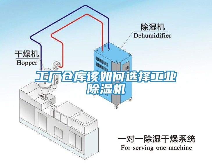 工厂仓库该如何选择工业猫咪成人官网