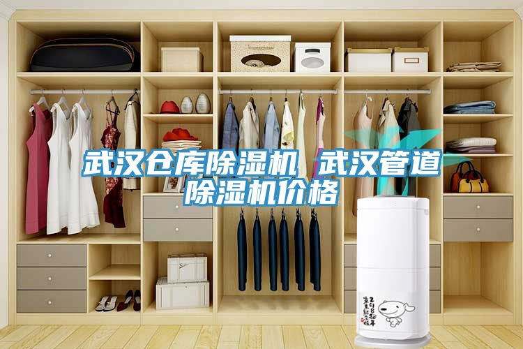 武汉仓库猫咪成人官网 武汉管道猫咪成人官网价格