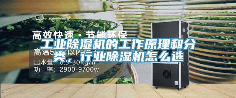 工业猫咪成人官网的工作原理和分类，行业猫咪成人官网怎么选