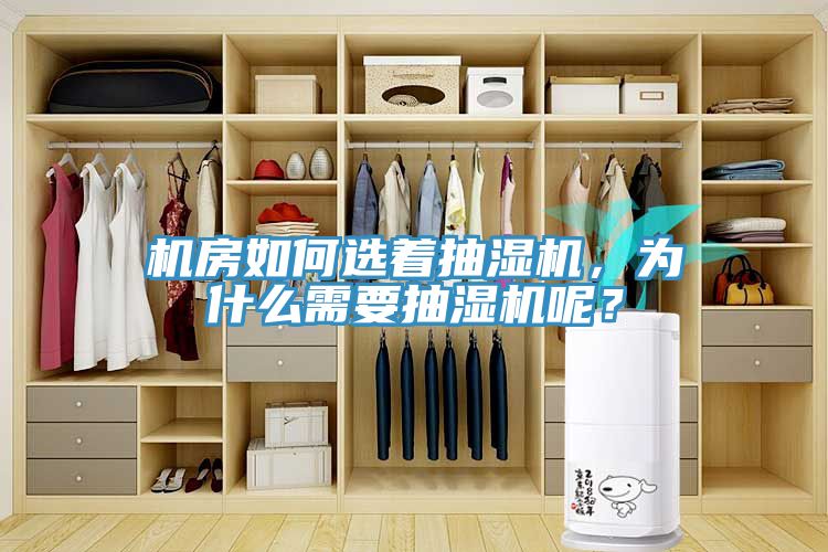 机房如何选着抽湿机，为什么需要抽湿机呢？