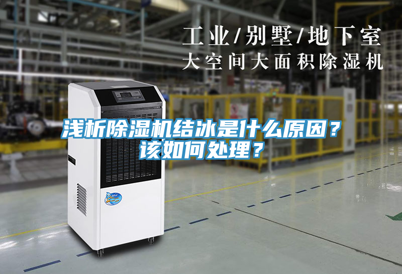 浅析猫咪成人官网结冰是什么原因？该如何处理？