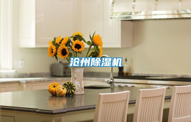 沧州猫咪成人官网
