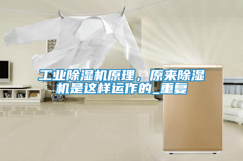 工业猫咪成人官网原理，原来猫咪成人官网是这样运作的_重复