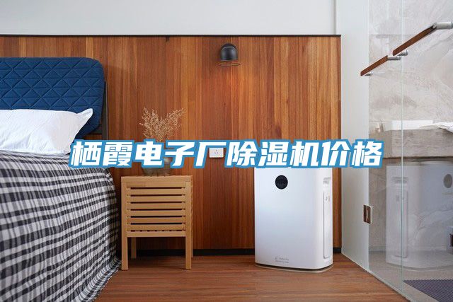 栖霞电子厂猫咪成人官网价格