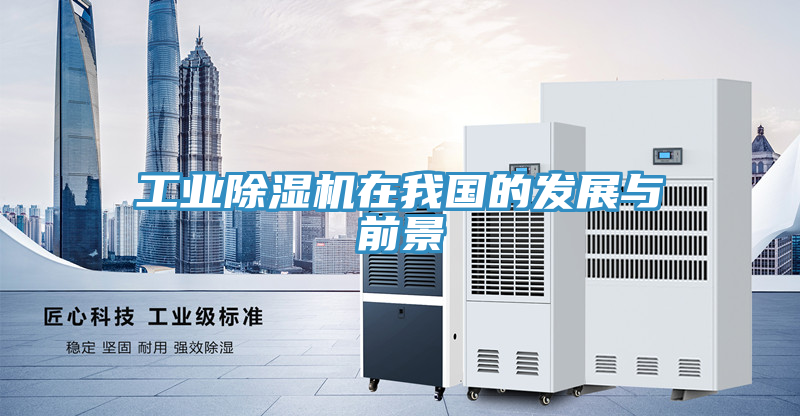 工业猫咪成人官网在我国的发展与前景