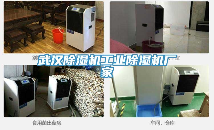 武汉猫咪成人官网工业猫咪成人官网厂家