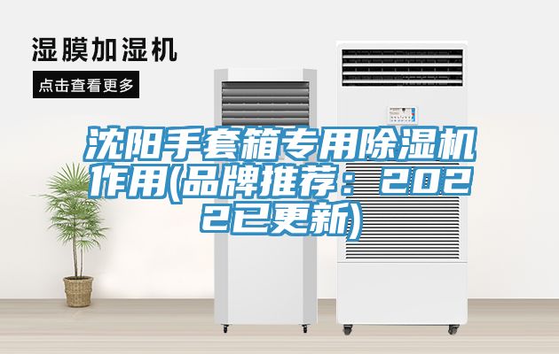 沈阳手套箱专用猫咪成人官网作用(品牌推荐：2022已更新)