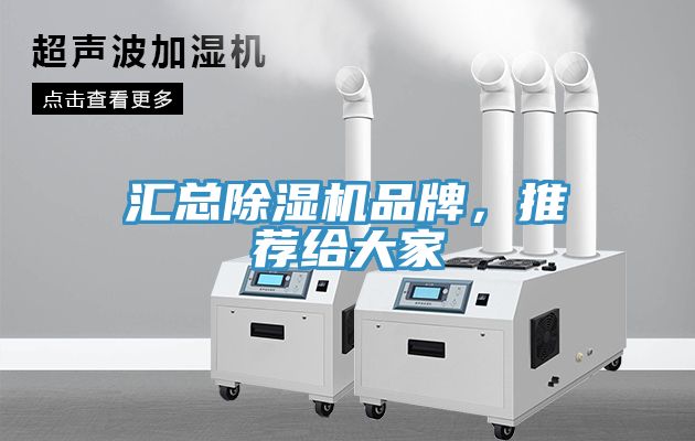 汇总猫咪成人官网品牌，推荐给大家