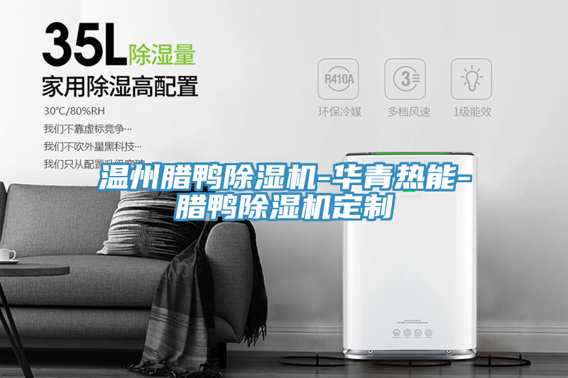 温州腊鸭猫咪成人官网-华青热能-腊鸭猫咪成人官网定制