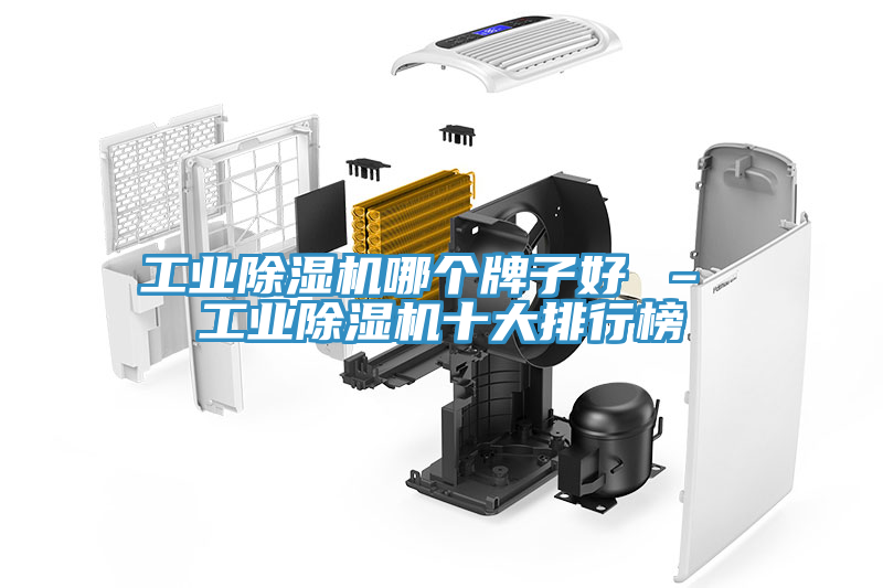 工业猫咪成人官网哪个牌子好 – 工业猫咪成人官网十大排行榜
