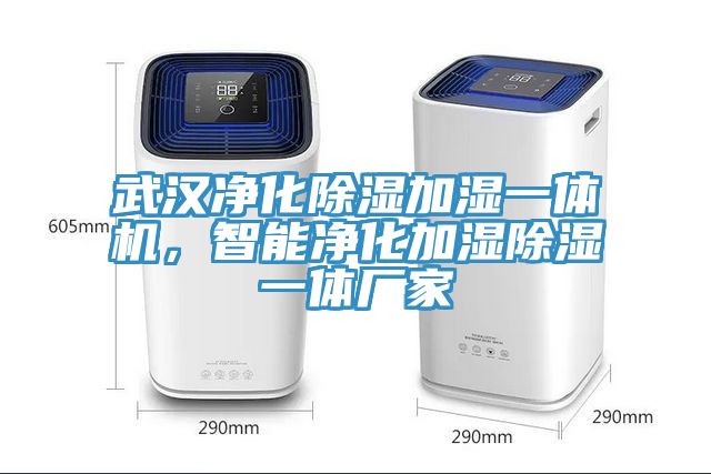 武汉净化除湿加湿一体机，智能净化加湿除湿一体厂家