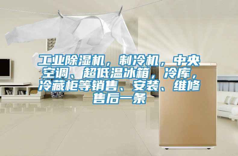 工业猫咪成人官网，制冷机，中央空调、超低温冰箱，冷库，冷藏柜等销售、安装、维修售后一条