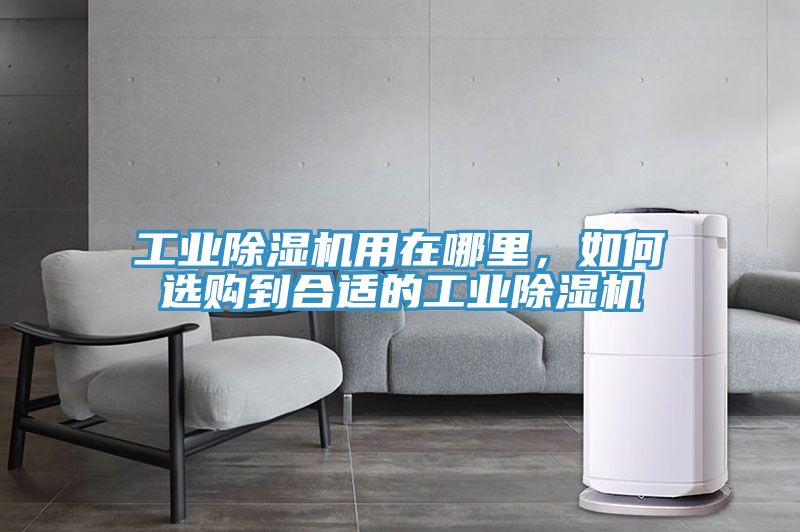 工业猫咪成人官网用在哪里，如何选购到合适的工业猫咪成人官网