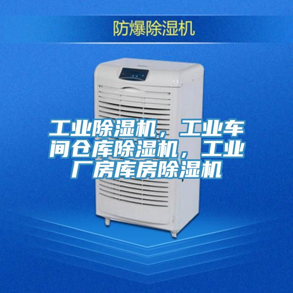 工业猫咪成人官网，工业车间仓库猫咪成人官网，工业厂房库房猫咪成人官网