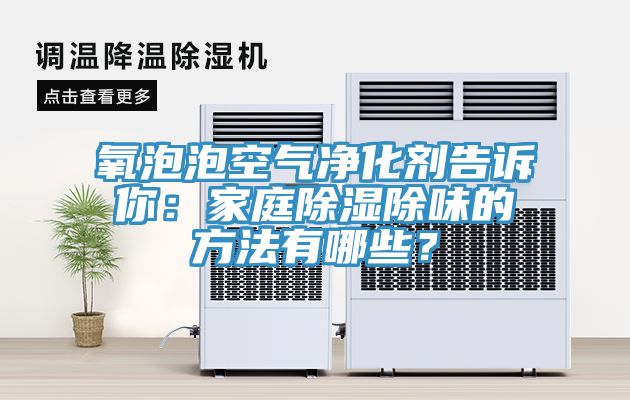 氧泡泡空气净化剂告诉你：家庭除湿除味的方法有哪些？
