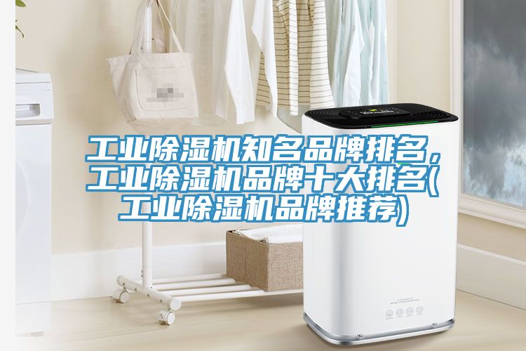 工业猫咪成人官网知名品牌排名，工业猫咪成人官网品牌十大排名(工业猫咪成人官网品牌推荐)