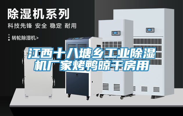 江西十八塘乡工业猫咪成人官网厂家烤鸭晾干房用