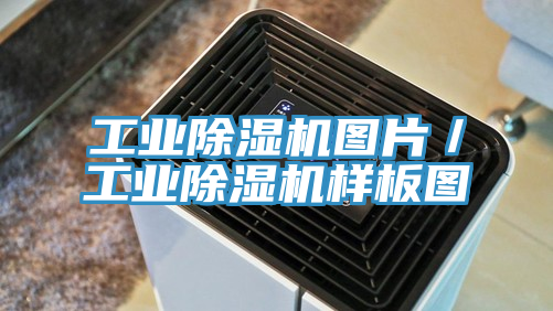 工业猫咪成人官网图片／工业猫咪成人官网样板图