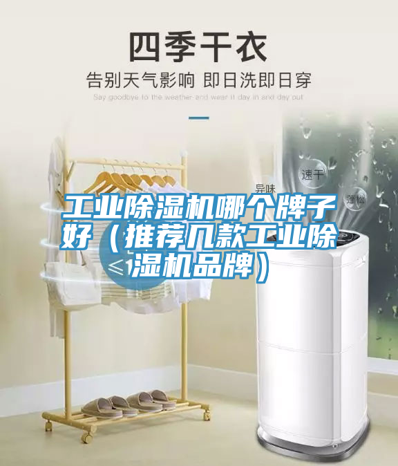 工业猫咪成人官网哪个牌子好（推荐几款工业猫咪成人官网品牌）