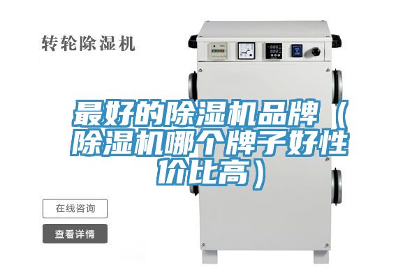 最好的猫咪成人官网品牌（猫咪成人官网哪个牌子好性价比高）
