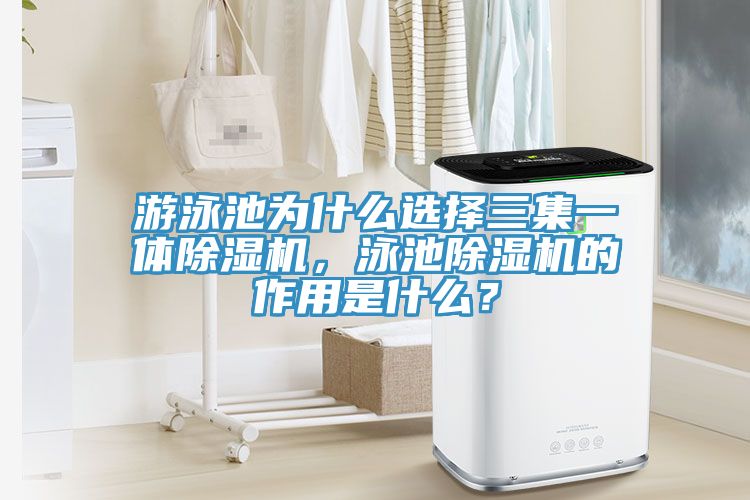 游泳池为什么选择三集一体猫咪成人官网，泳池猫咪成人官网的作用是什么？