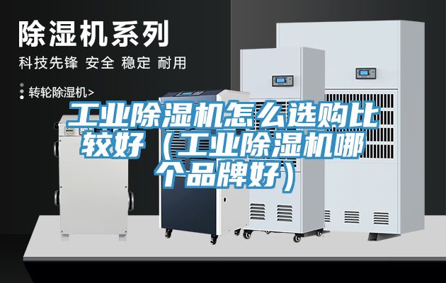 工业猫咪成人官网怎么选购比较好（工业猫咪成人官网哪个品牌好）