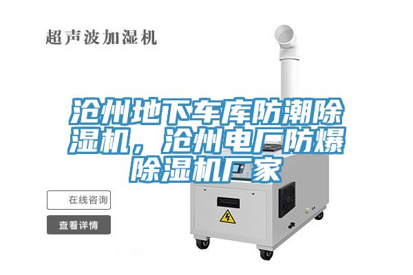 沧州地下车库防潮猫咪成人官网，沧州电厂防爆猫咪成人官网厂家