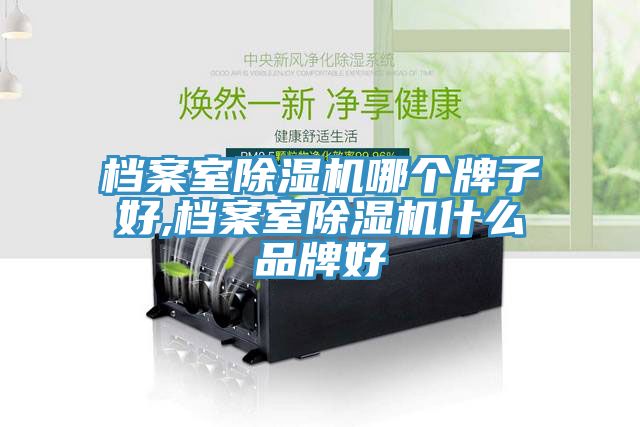 档案室猫咪成人官网哪个牌子好,档案室猫咪成人官网什么品牌好