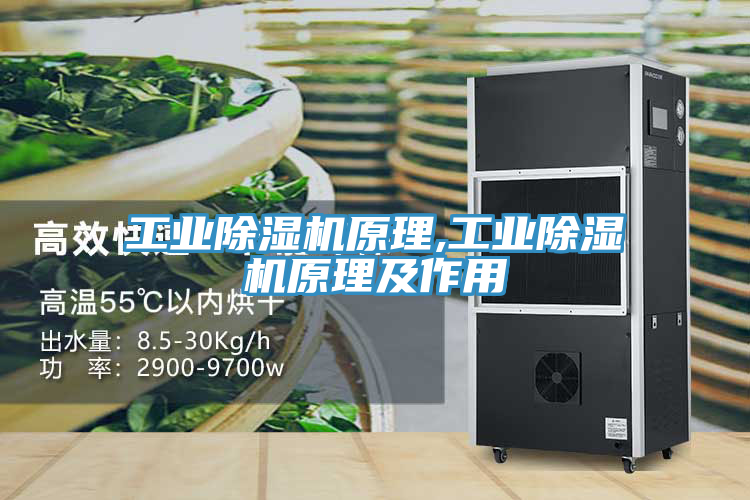 工业猫咪成人官网原理,工业猫咪成人官网原理及作用