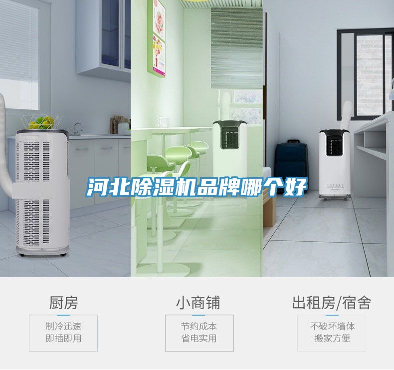 河北猫咪成人官网品牌哪个好