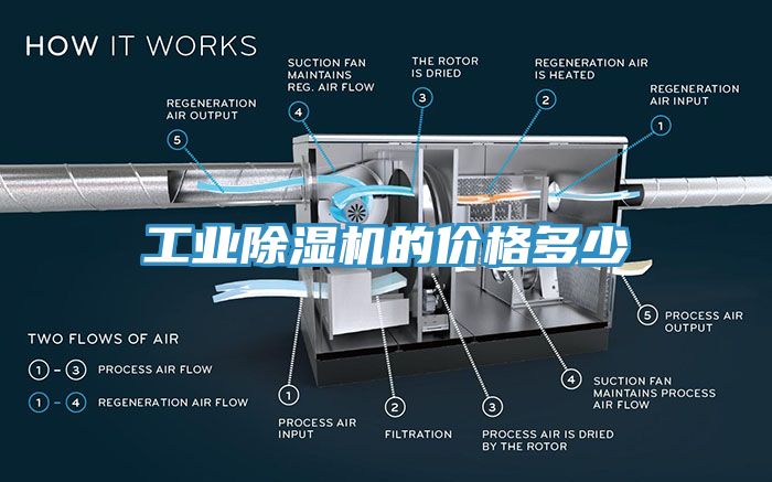 工业猫咪成人官网的价格多少