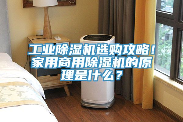 工业猫咪成人官网选购攻略！家用商用猫咪成人官网的原理是什么？