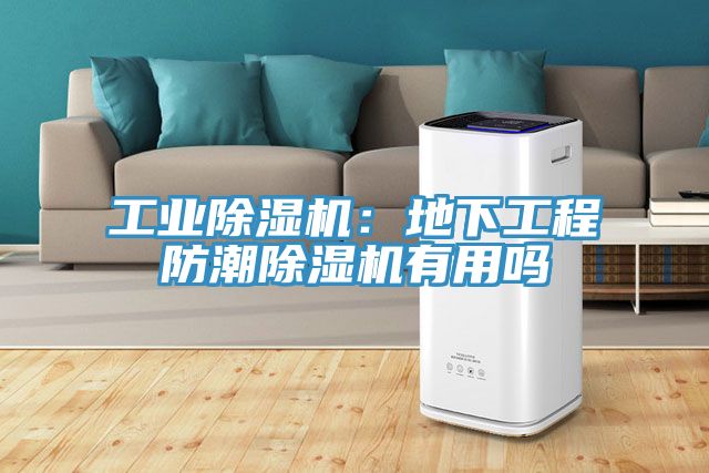 工业猫咪成人官网：地下工程防潮猫咪成人官网有用吗