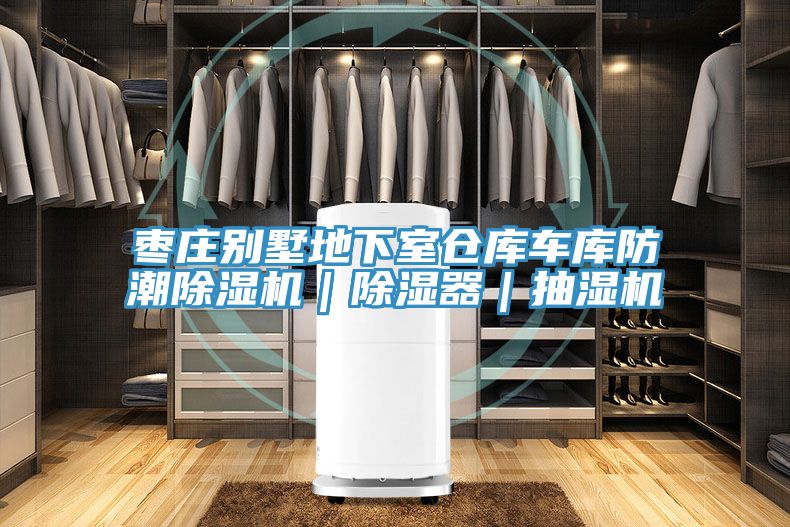 枣庄别墅地下室仓库车库防潮猫咪成人官网｜除湿器｜抽湿机