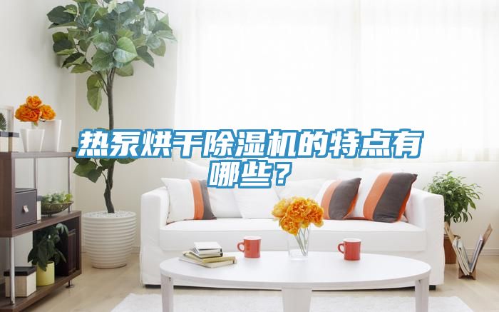 热泵烘干猫咪成人官网的特点有哪些？