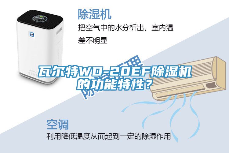瓦尔特WD-20EF猫咪成人官网的功能特性？
