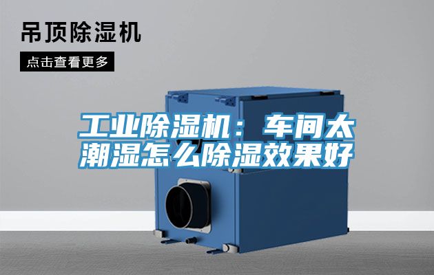 工业猫咪成人官网：车间太潮湿怎么除湿效果好