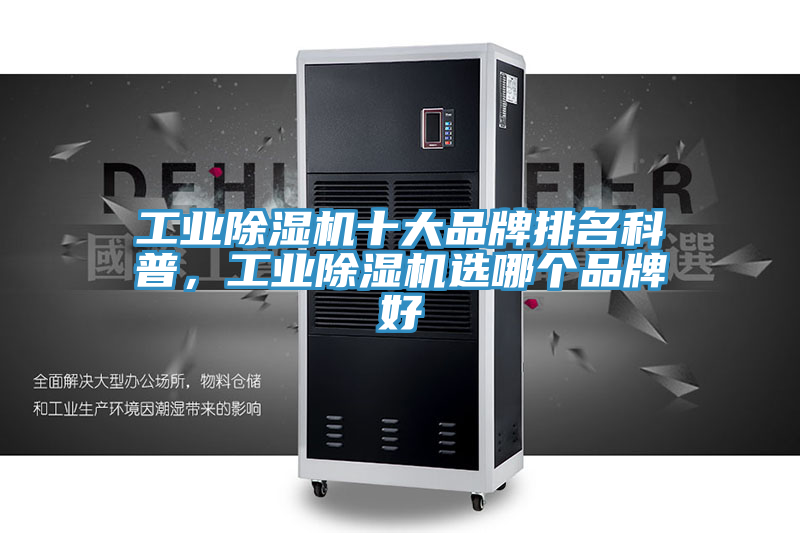 工业猫咪成人官网十大品牌排名科普，工业猫咪成人官网选哪个品牌好