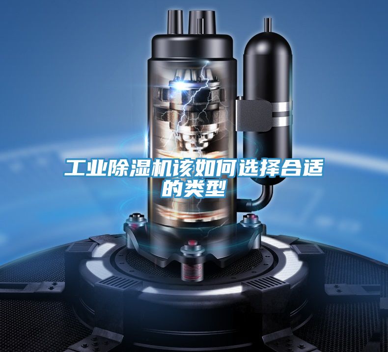 工业猫咪成人官网该如何选择合适的类型