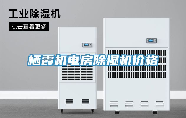 栖霞机电房猫咪成人官网价格