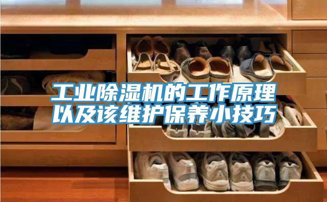 工业猫咪成人官网的工作原理以及该维护保养小技巧