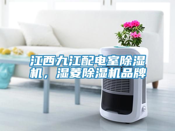 江西九江配电室猫咪成人官网，湿菱猫咪成人官网品牌