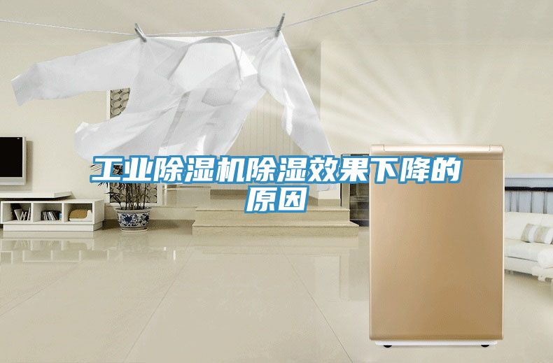 工业猫咪成人官网除湿效果下降的原因