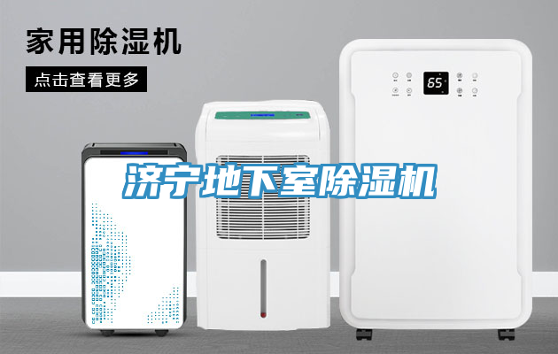 济宁地下室猫咪成人官网