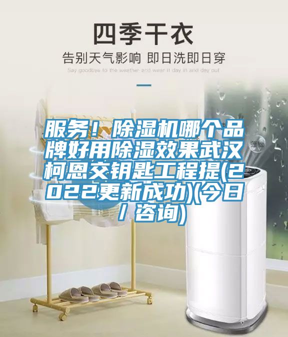 服务！猫咪成人官网哪个品牌好用除湿效果武汉柯恩交钥匙工程提(2022更新成功)(今日／咨询)