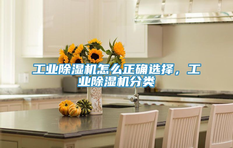 工业猫咪成人官网怎么正确选择，工业猫咪成人官网分类