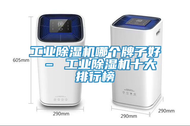 工业猫咪成人官网哪个牌子好 – 工业猫咪成人官网十大排行榜
