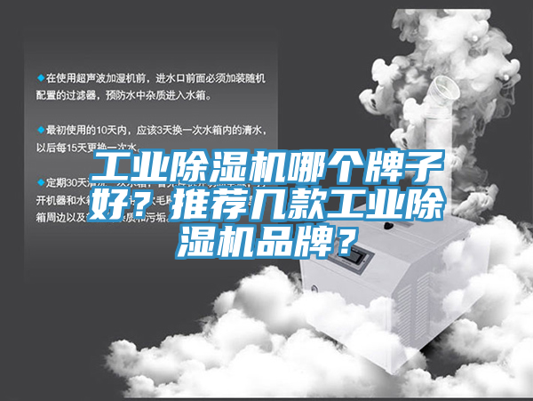 工业猫咪成人官网哪个牌子好？推荐几款工业猫咪成人官网品牌？
